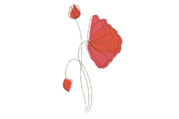 Poppy or Rose Flowers